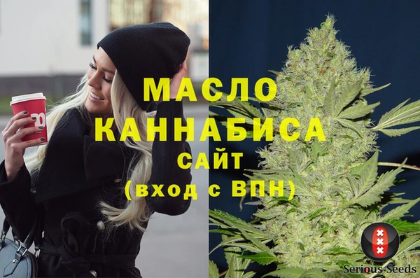 молекула духа Осинники
