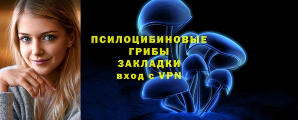 гашик Осташков