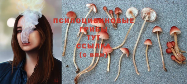 молекула духа Осинники