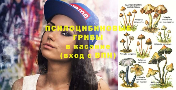 молекула духа Осинники