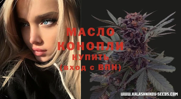 молекула духа Осинники