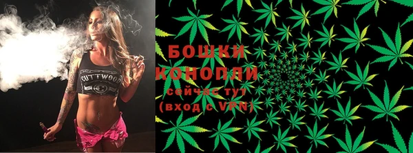 молекула духа Осинники