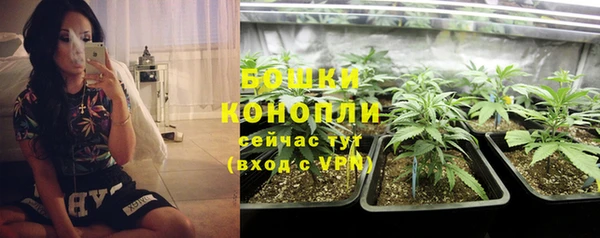гидра Остров