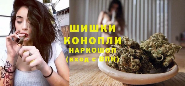гашик Осташков