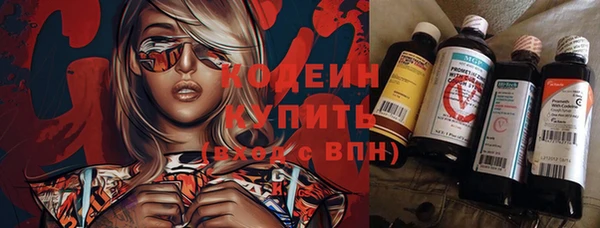 гашик Осташков