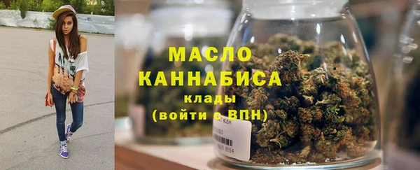 молекула духа Осинники