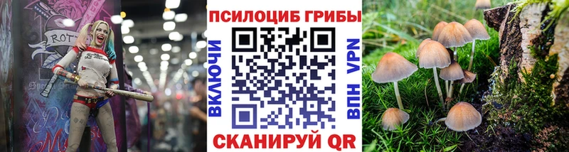 цены   Сергач  Псилоцибиновые грибы Cubensis 