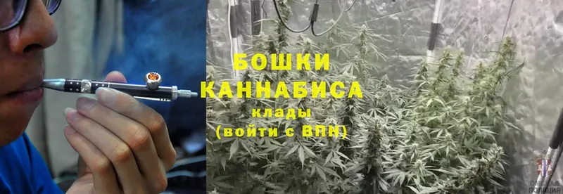 Бошки марихуана Bruce Banner  Сергач 